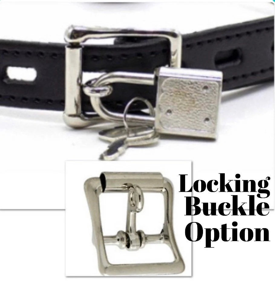 Upgrade collar to locking buckle