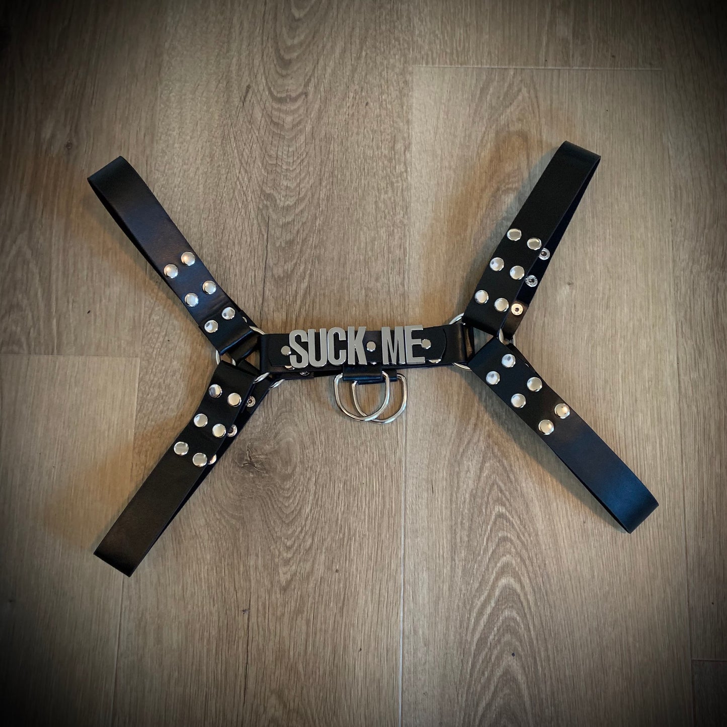 Men’s harness with leash