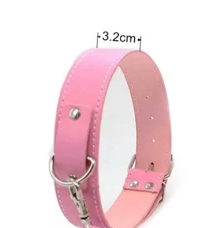 Men’s/Plus size thick collar and leash