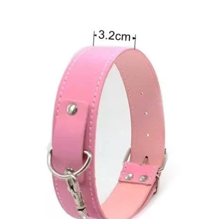 Men’s/Plus size thick collar and leash
